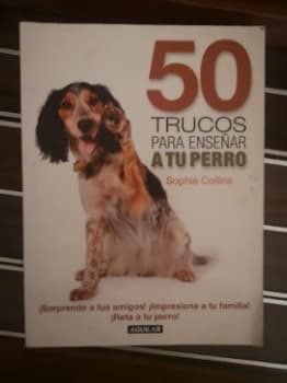 50 trucos para enseñar a tu perro