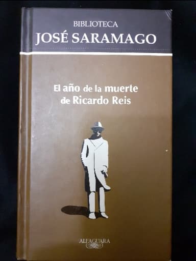 El año de la muerte de Ricardo Reis