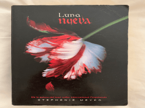 Luna nueva