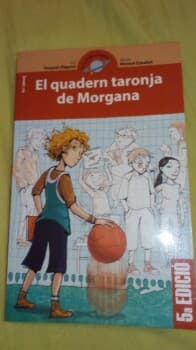 El quadern taronja de Morgana