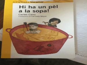 Hi ha un pèl a la sopa!