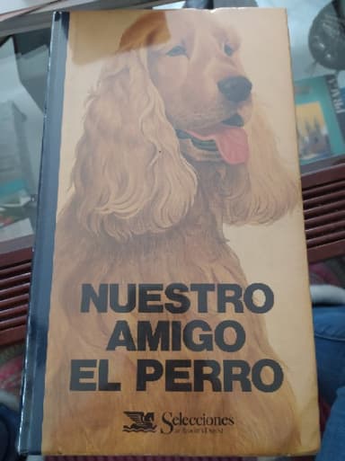 Nuestro amigo el perro