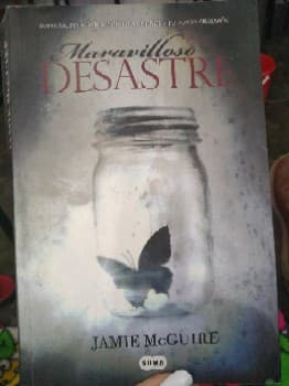 Maravilloso desastre