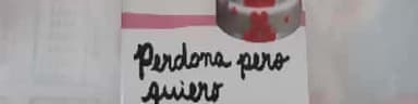 Perdona pero quiero casarme contigo
