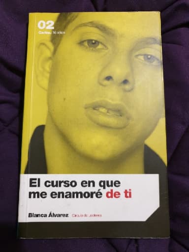 El curso en que me enamoré de ti