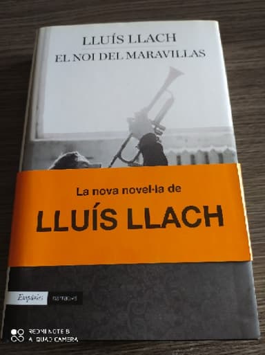 El noi del Maravillas
