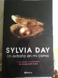Un Extrano en Mi Cama