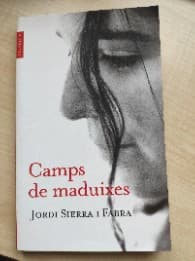 Camps de maduixes