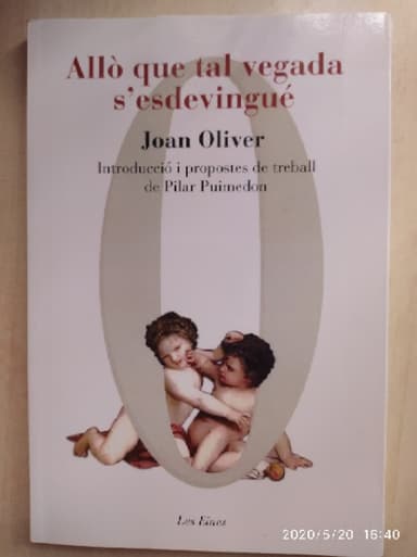 Allò que tal vegada sesdevingué