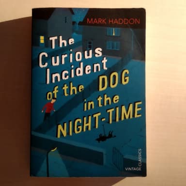 The Curious Incident of the Dog in the Night-time