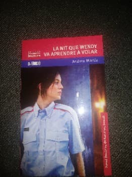 La nit que Wendy va aprendre a volar