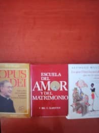 Lote de libros variados
