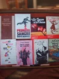 Lote de novelas antiguas