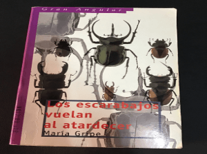 Los escarabajos vuelan al atardecer