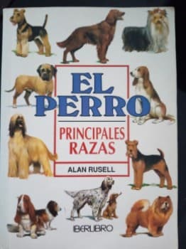 El Perro