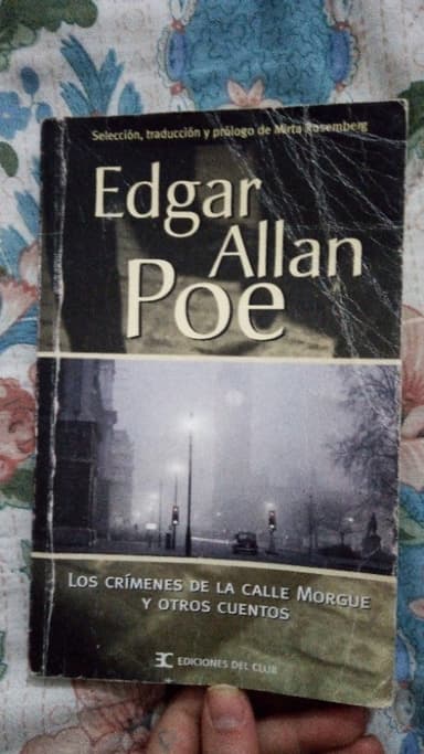 Los crimenes de la calle morgue y otros cuentos