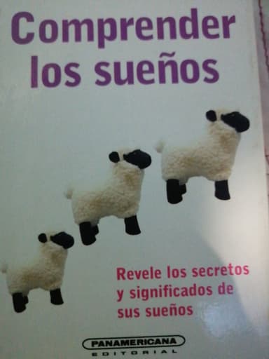 Comprender los sueños 