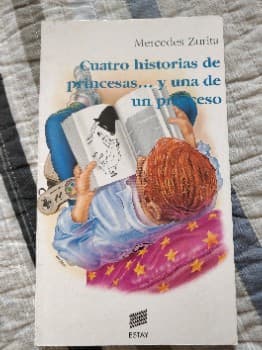 Cuatro historias de princesas... y una de un princeso