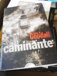 El Caminante