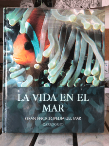 La vida en el mar