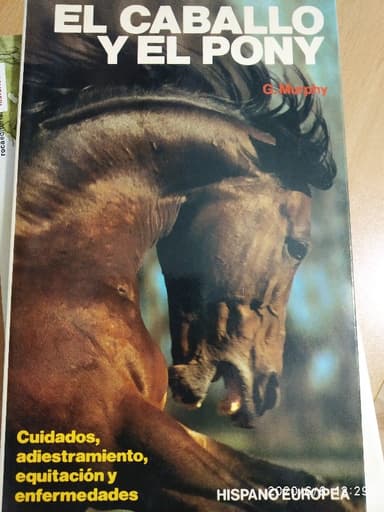 El Caballo y El Pony