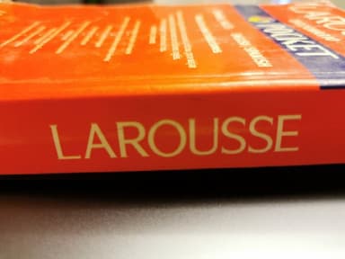 Larousse Diccionario Pocket