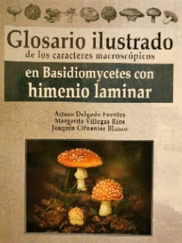 Glosario Ilustrado de Los Caracteres Macroscopicos en Basidiomycetes Con Himenio Laminar
