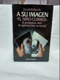 A su imagen 