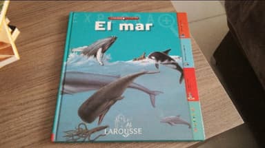 El Mar/ the Sea