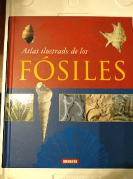Atlas Ilustrado De Los Fosiles/ Illustrated Atlas of Fossils