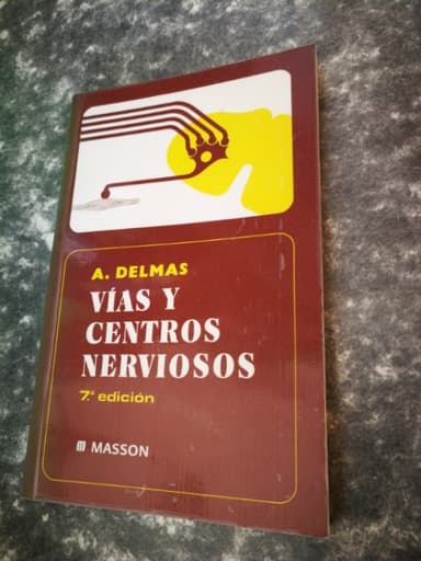 Vias y Centros Nerviosos