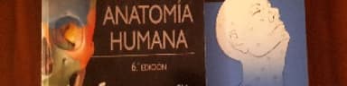 ATLAS DE ANATOMÍA HUMANA 