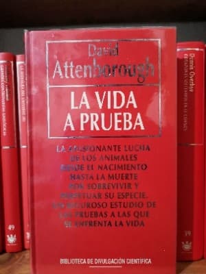 La vida a prueba