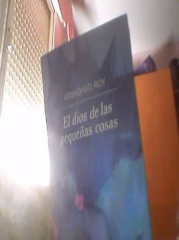 El dios de las pequeñas cosas