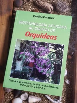 Biotecnología aplicada al cultivo de orquídeas