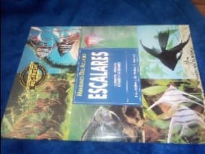 Escalares / Angelfish