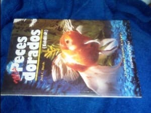 MIS Peces Dorados