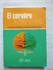 El cerebro del siglo XXI