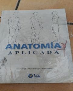 Anatomía
