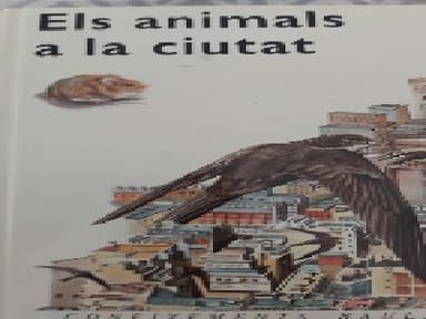 Els animals a la ciutat