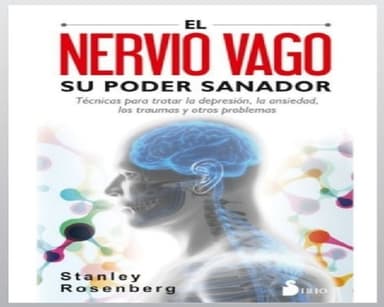 El Nervio Vago, Su Poder Sanador