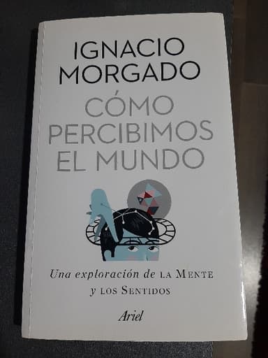 Cómo percibimos el mundo 