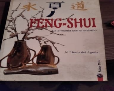 Feng Shui