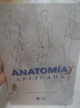 Anatomía