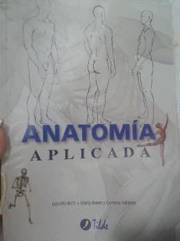 Anatomía
