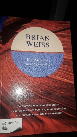 MUCHAS VIDAS MUCHOS MAESTROS