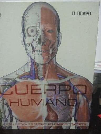 Cuerpo humano