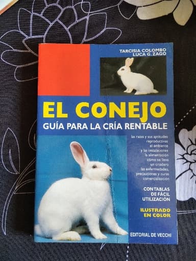 El conejo