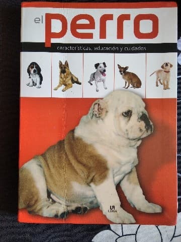 El Perro