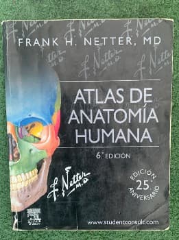 ATLAS DE ANATOMÍA HUMANA 
